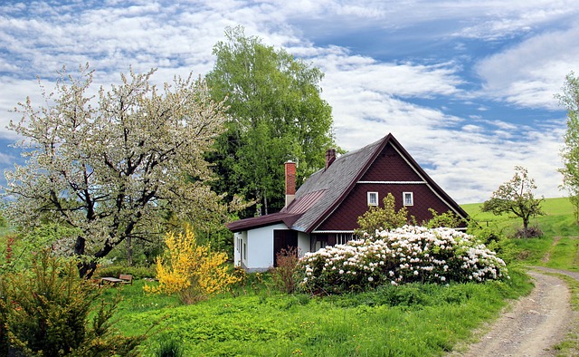 Conseils pour aménager un jardin accueillant autour de votre maison