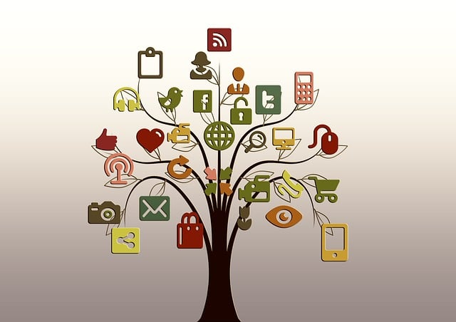 L'évolution des réseaux sociaux à l'ère d'internet